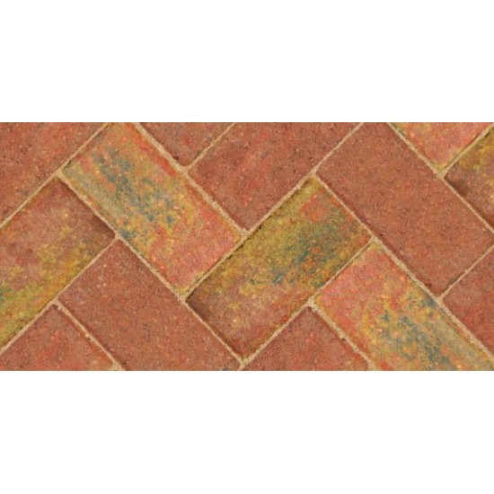 Autumn - Driveway 50 - Block Paving - Autumn 200x100x50mm - (488no Per Pack)9.76 m2