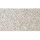 Silver Grey - Natural Granite - NaturalStone Ranges - 600x600x25mm
