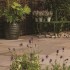 Autumn Green - Natural Sandstone - NaturalStone Ranges - 300x300mm