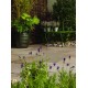 Autumn Green - Natural Sandstone - NaturalStone Ranges - 600x300mm
