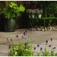 Autumn Green - Natural Sandstone - NaturalStone Ranges - Patio Pack 15.30m2