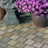 Fossil Buff - Natural Sandstone Setts - Natural Sandstone Fossil Buff