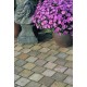 Fossil Buff - Natural Sandstone Setts - Natural Sandstone Fossil Buff