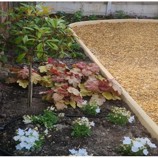 Buff - Round Top - Landscaping Features - Edging 600x50x150mm