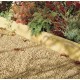 Buff - Round Top - Landscaping Features - Edging 600x50x150mm
