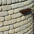 Buff - Countrystone Walling - Landscaping Features - Block 290x90x63mm Pack 5.00m2