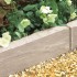 Fossil Buff - Edging Natural Sandstone - Landscaping Features - Edging/Coping 450x160mm
